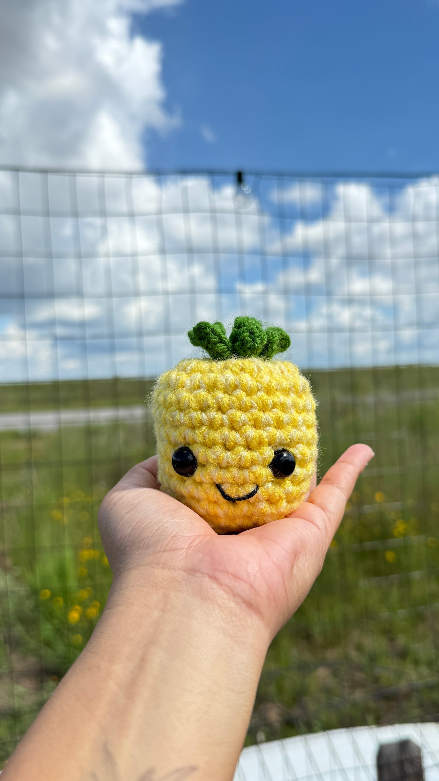 ‘Mama Pineapples’ - Plush Pineapple