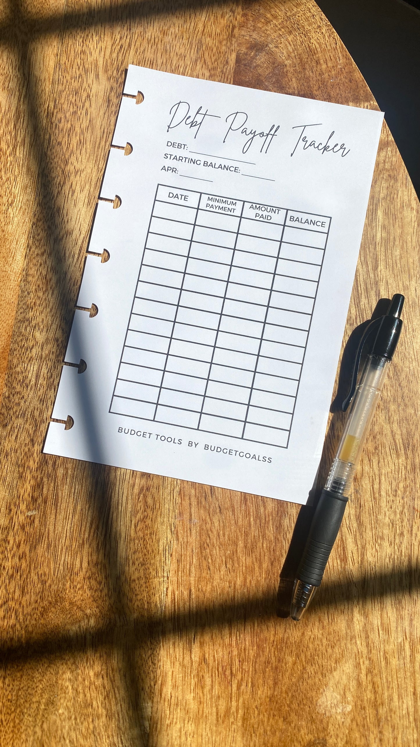 Debt Payoff Tracker