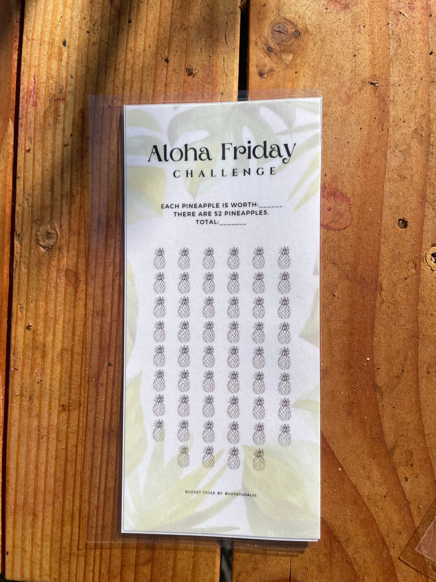 Aloha Friday Cash Envelope Challenge
