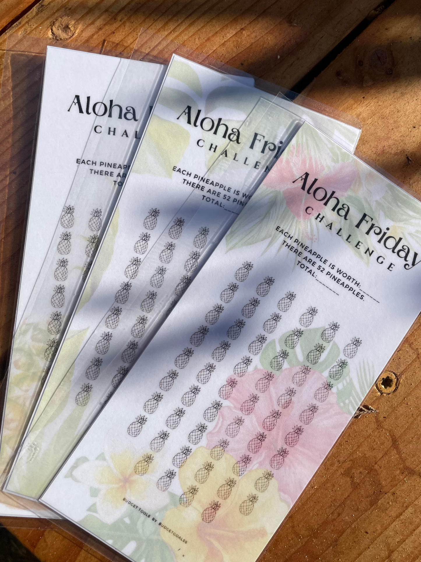 Aloha Friday Cash Envelope Challenge
