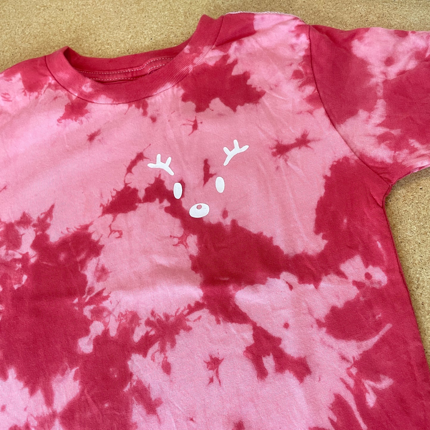 12 REINDEER t- shirt and sweatpants set 4T