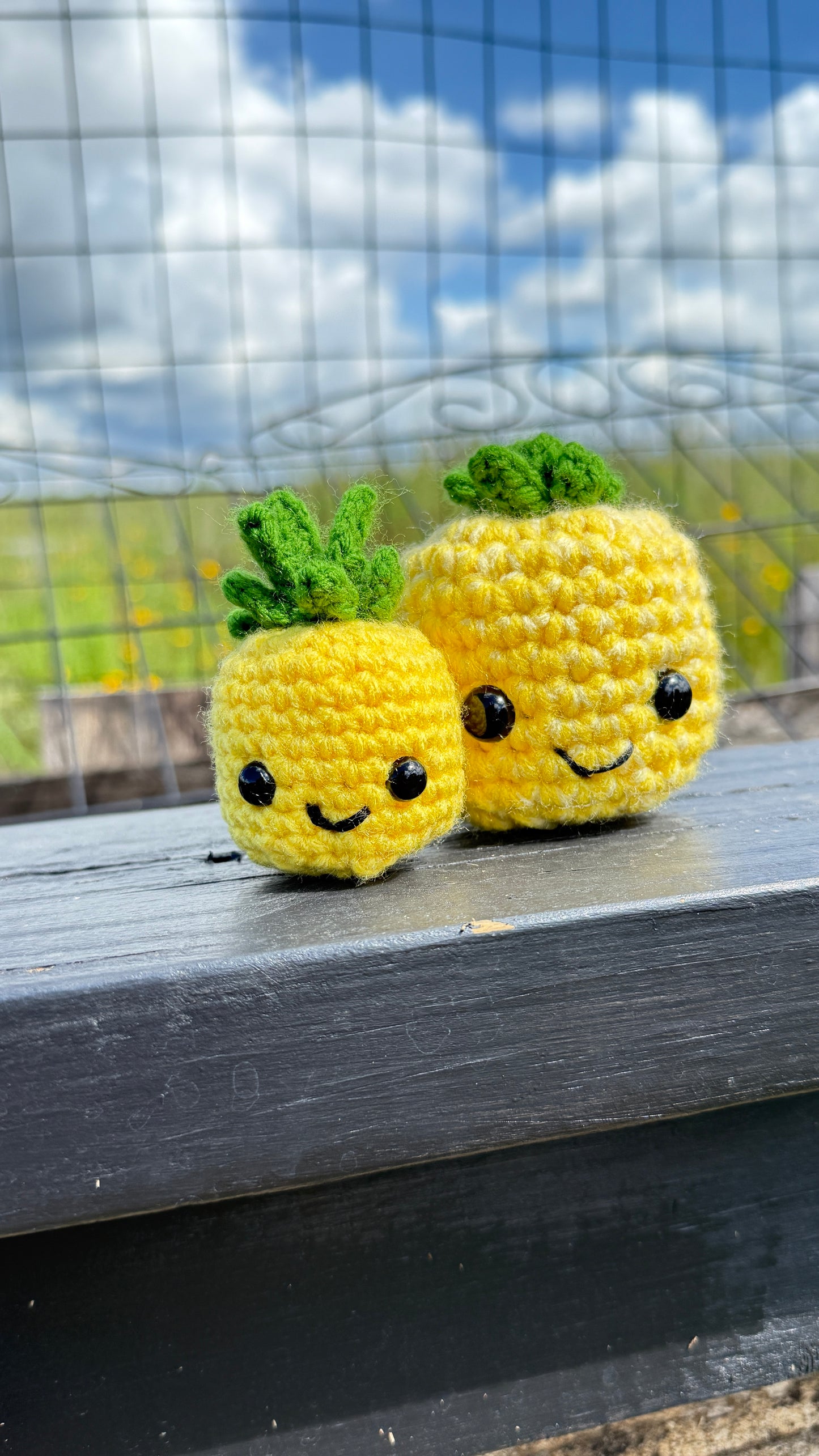 Mommy + Me Crochet Pineapple Set