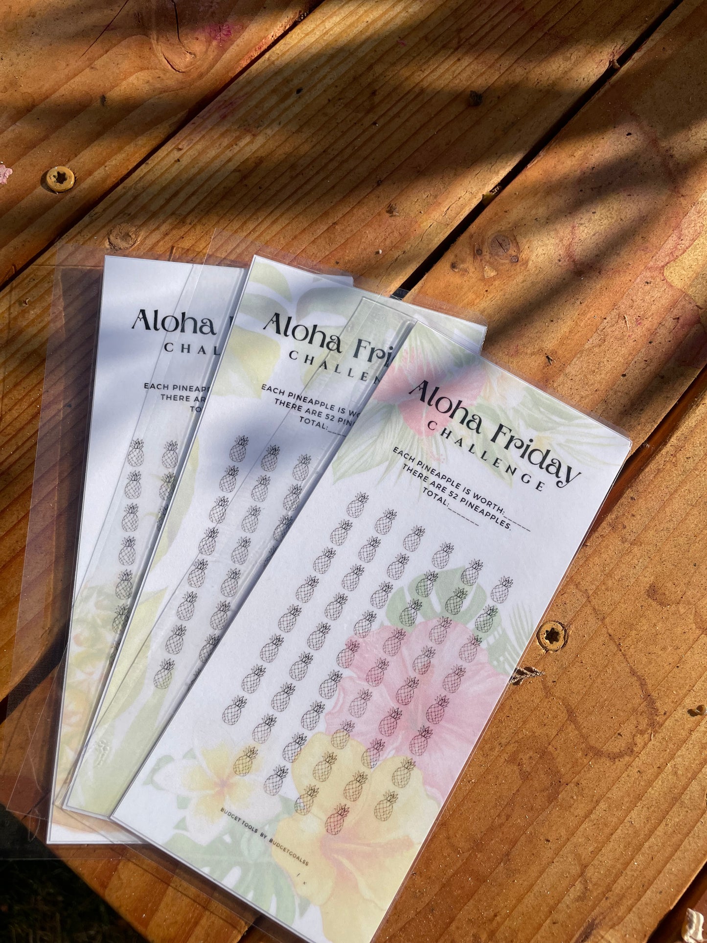 Aloha Friday Cash Envelope Challenge
