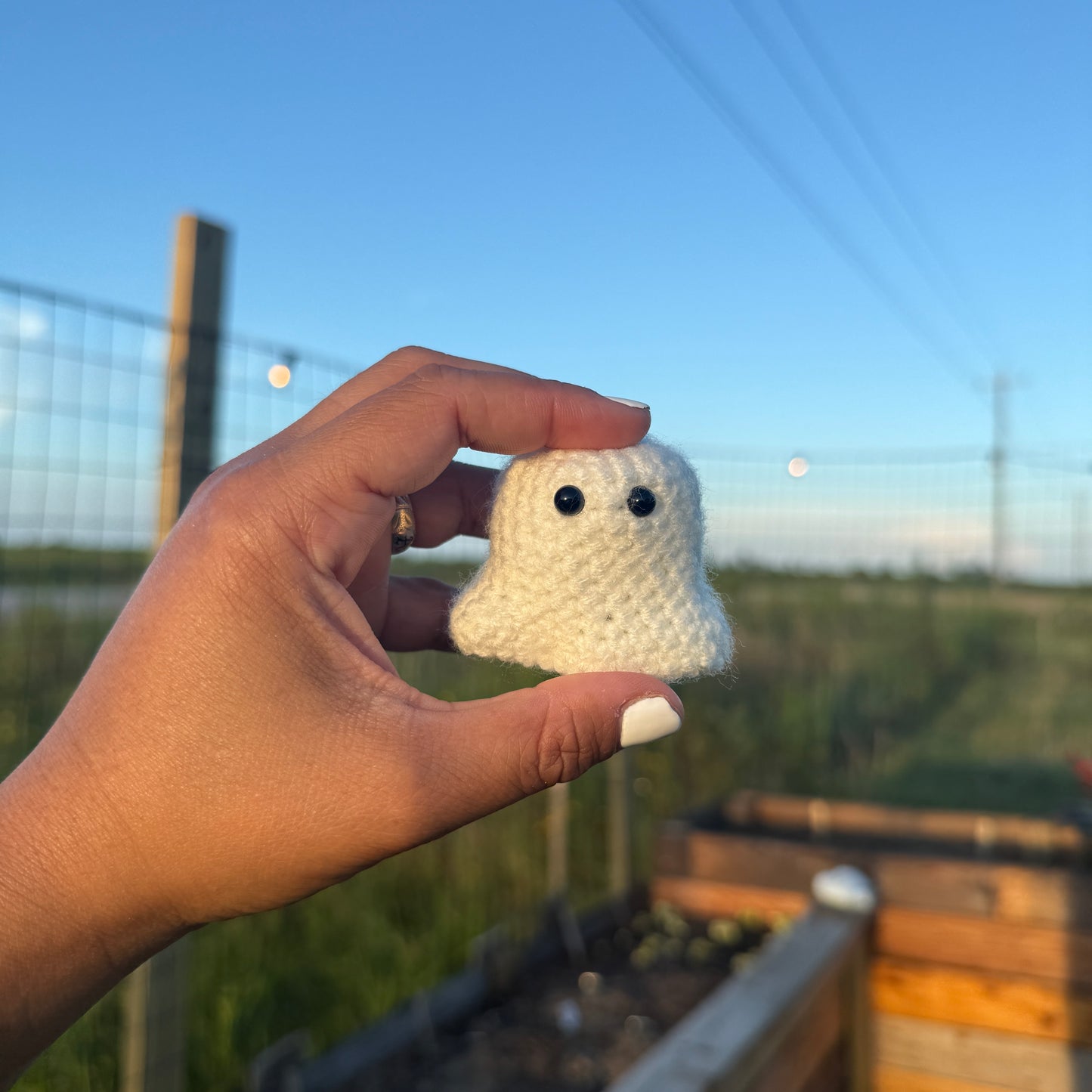 'Gary' the Ghost