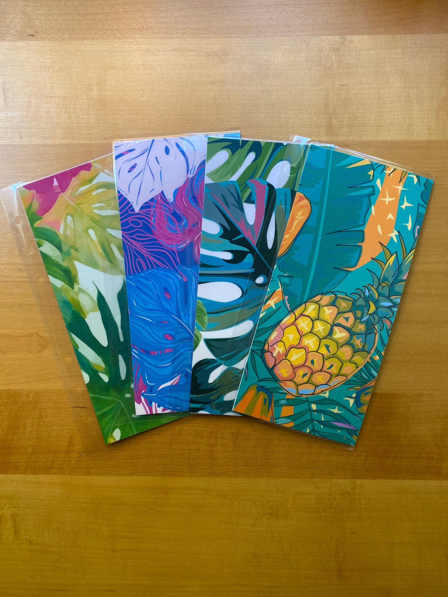 Tropical Cash Envelopes