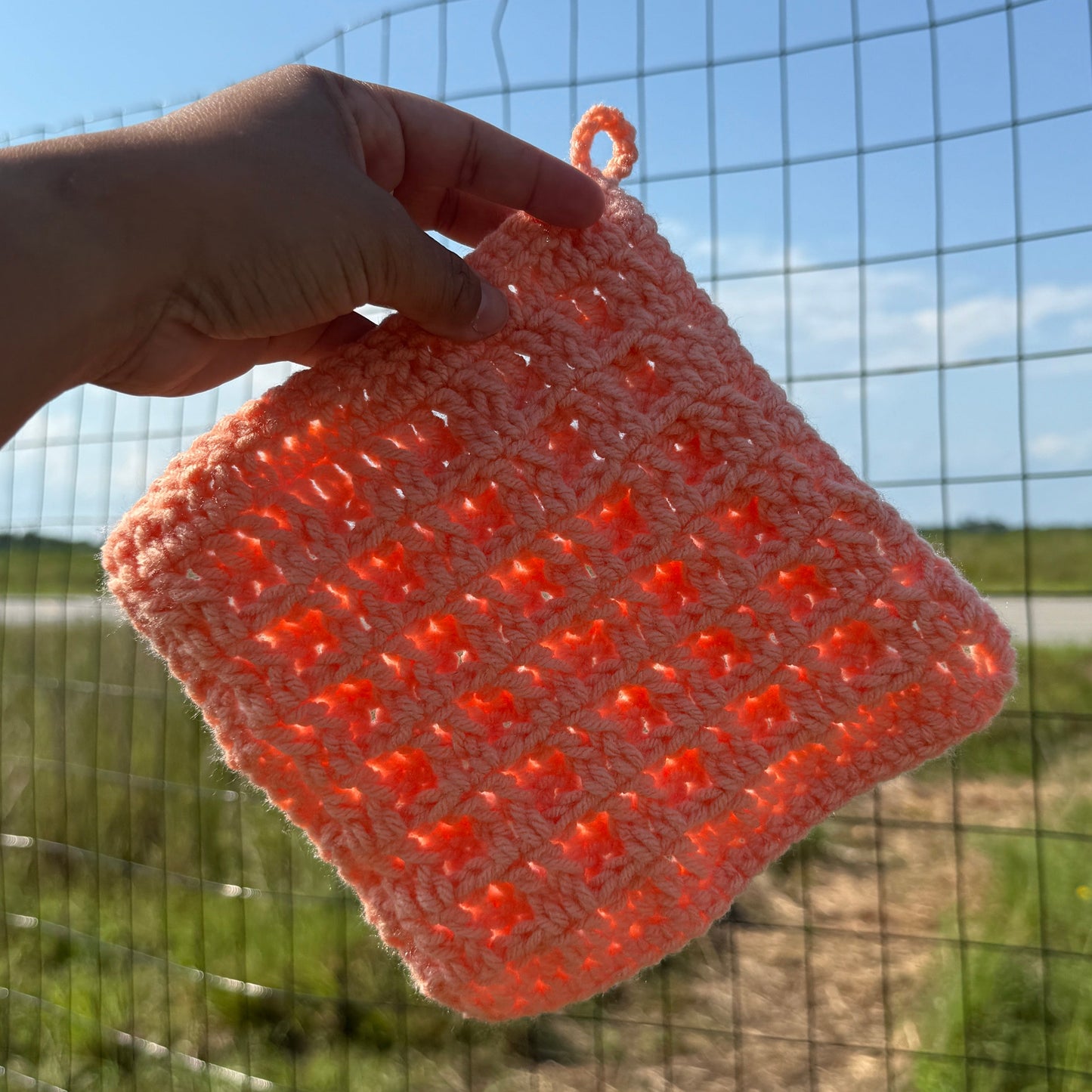Hand holding a textured orange object against a wire fence and blue sky background