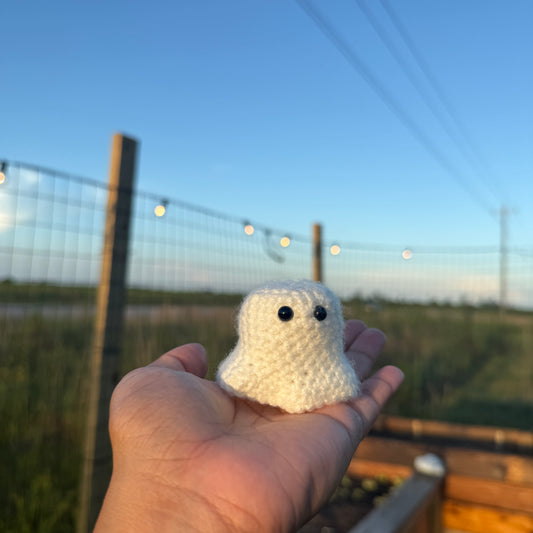 'Gary' the Ghost