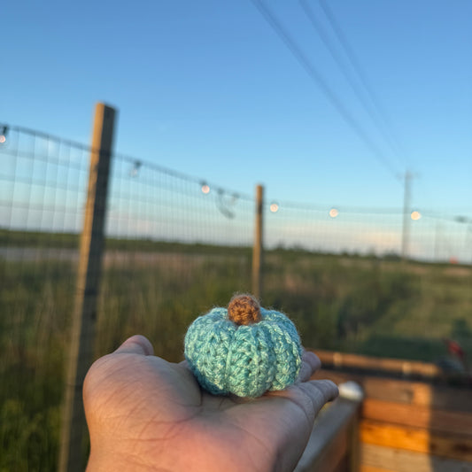 Baby Pumpkin - Teal