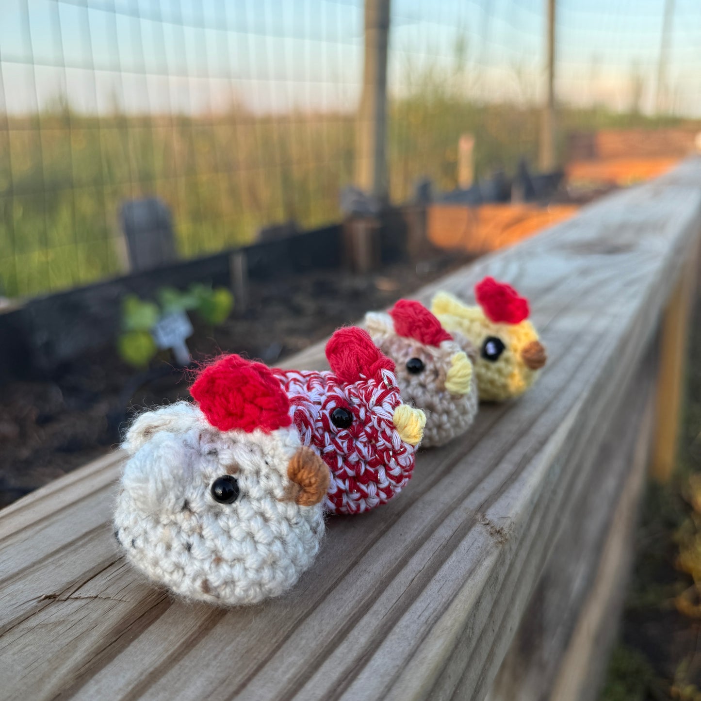 Emotional Support Chickens