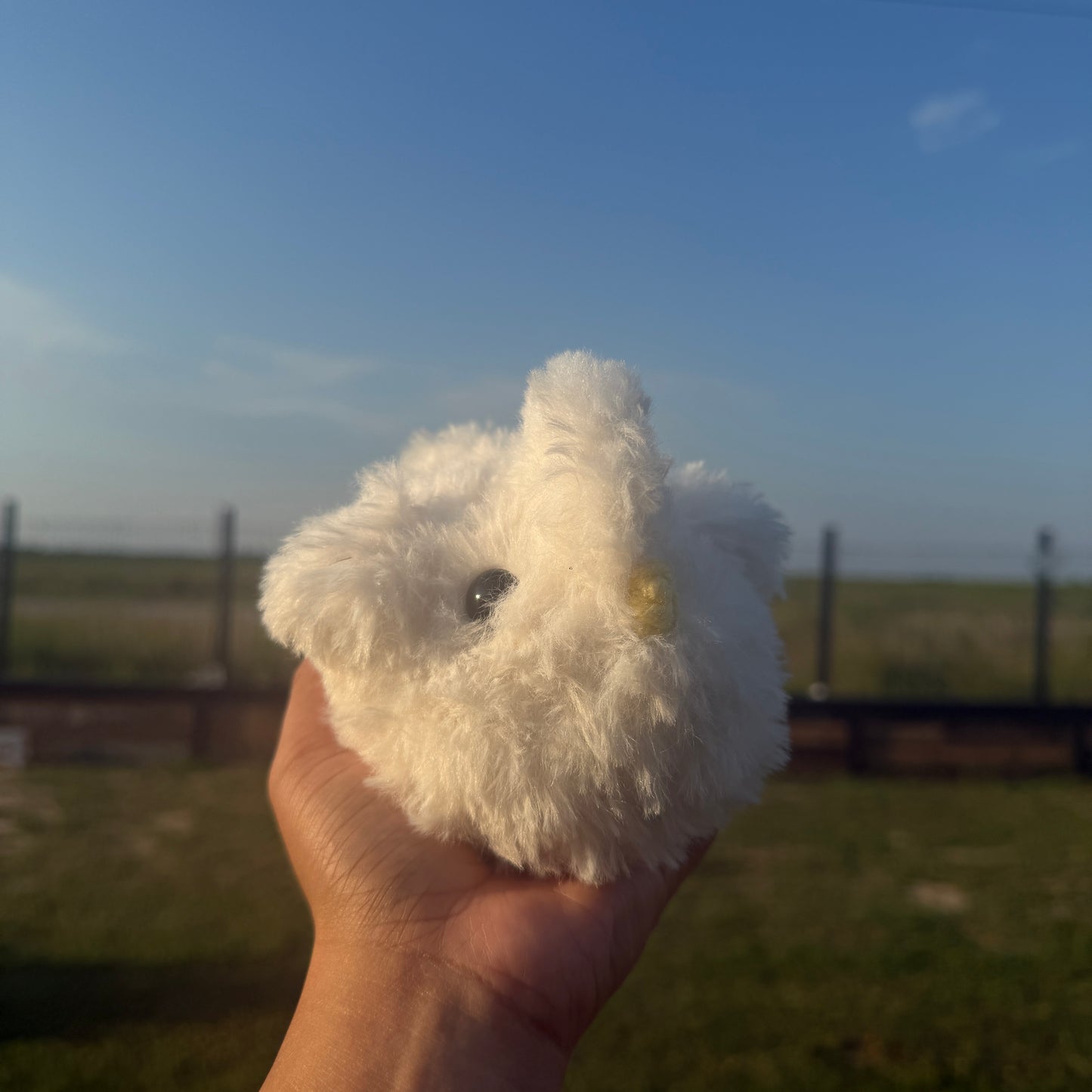Silkie Chicken - 'Sugar'