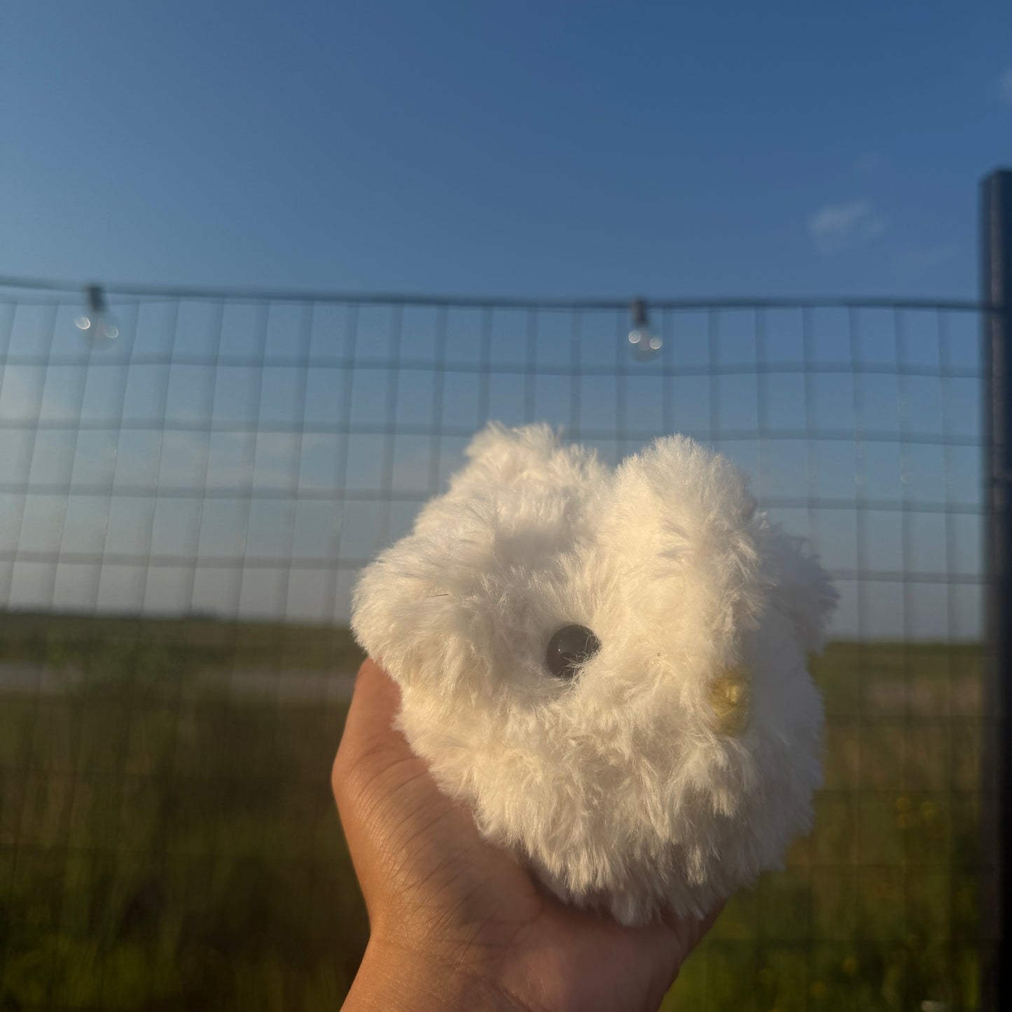 Silkie Chicken - 'Sugar'