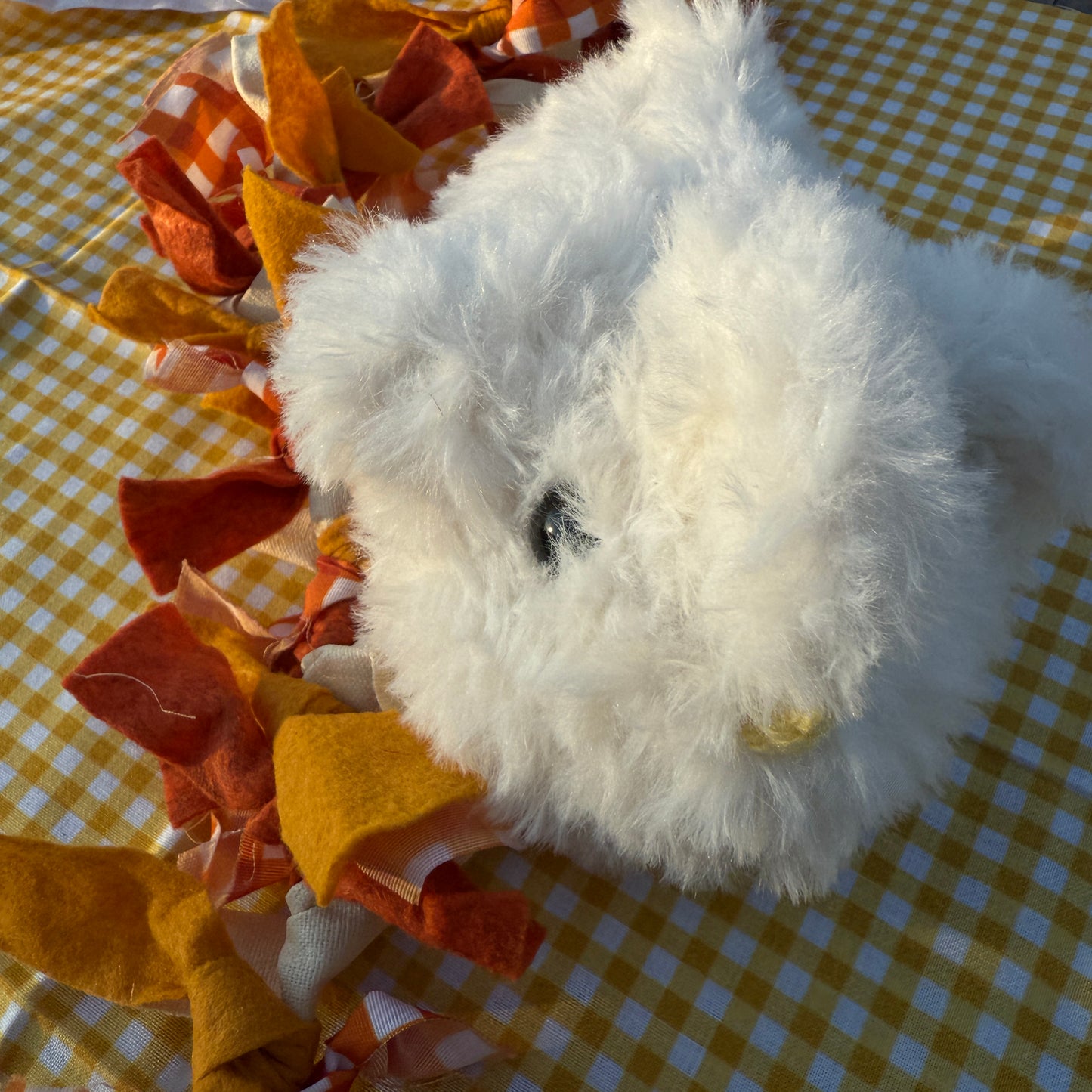 Silkie Chicken - 'Sugar'