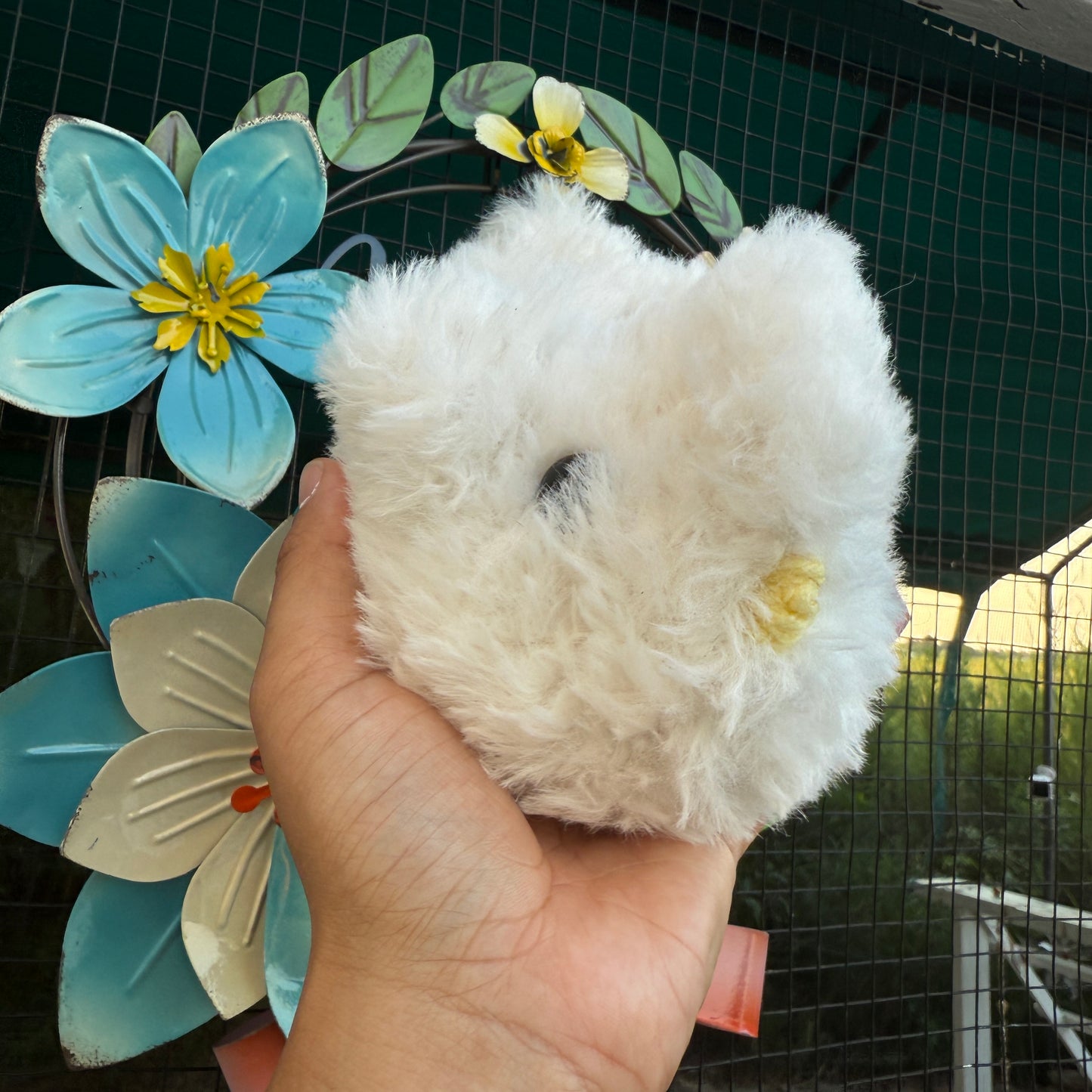 Silkie Chicken - 'Sugar'