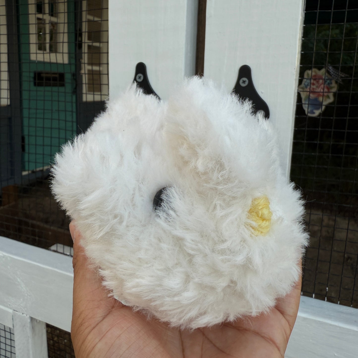 Silkie Chicken - 'Sugar'