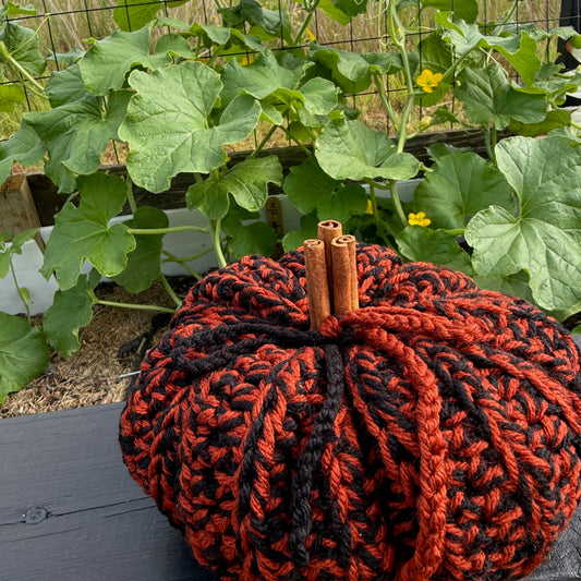 Harvest Pumpkin