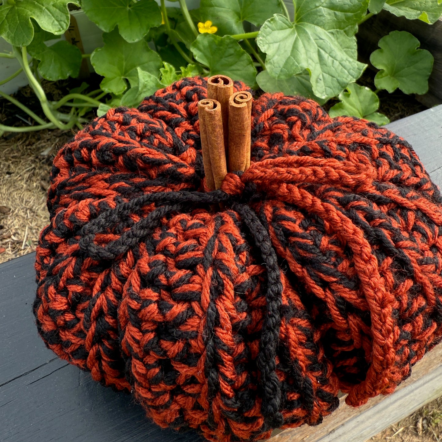 Harvest Pumpkin