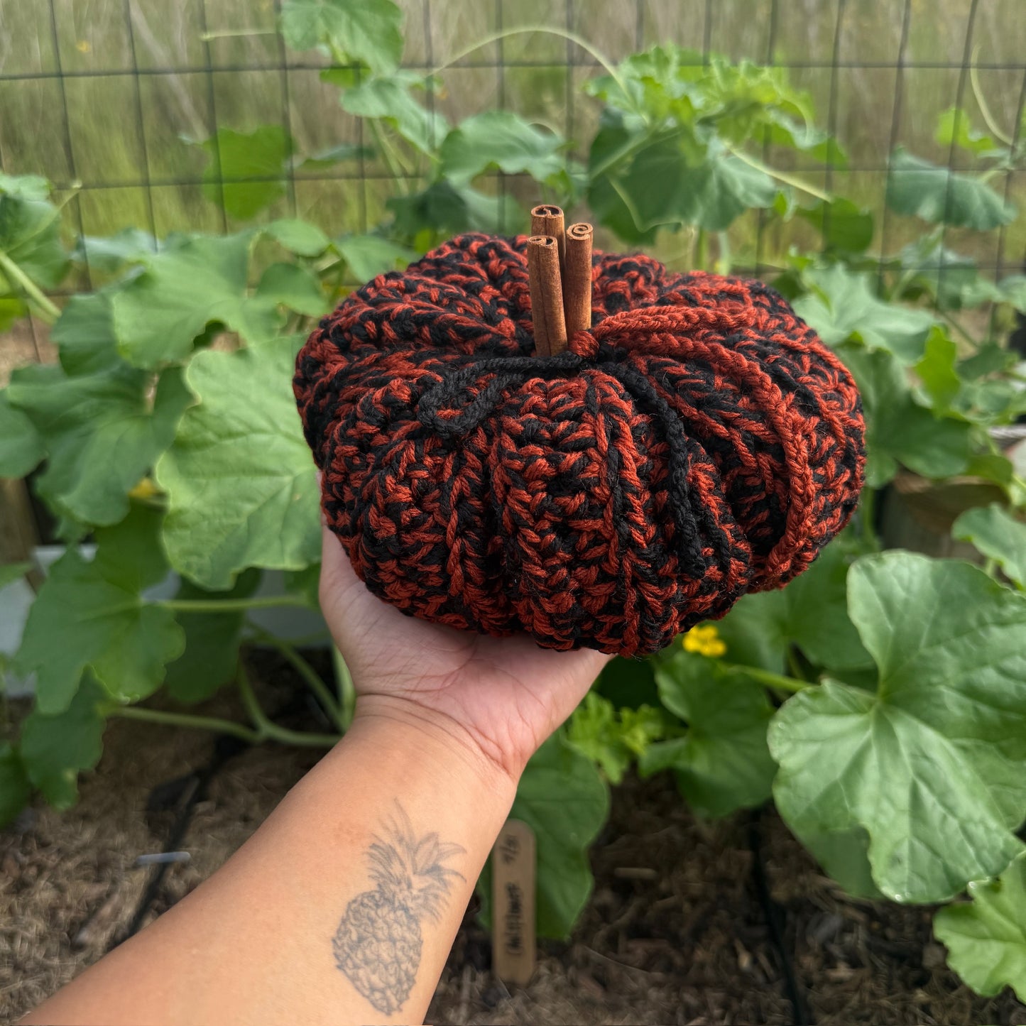 Harvest Pumpkin