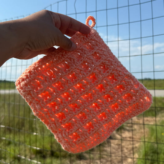 Hand holding a textured orange object against a wire fence and blue sky background